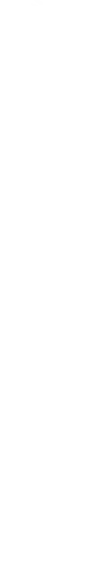 国王 オーク族 グスタフ・ファルケンハイン